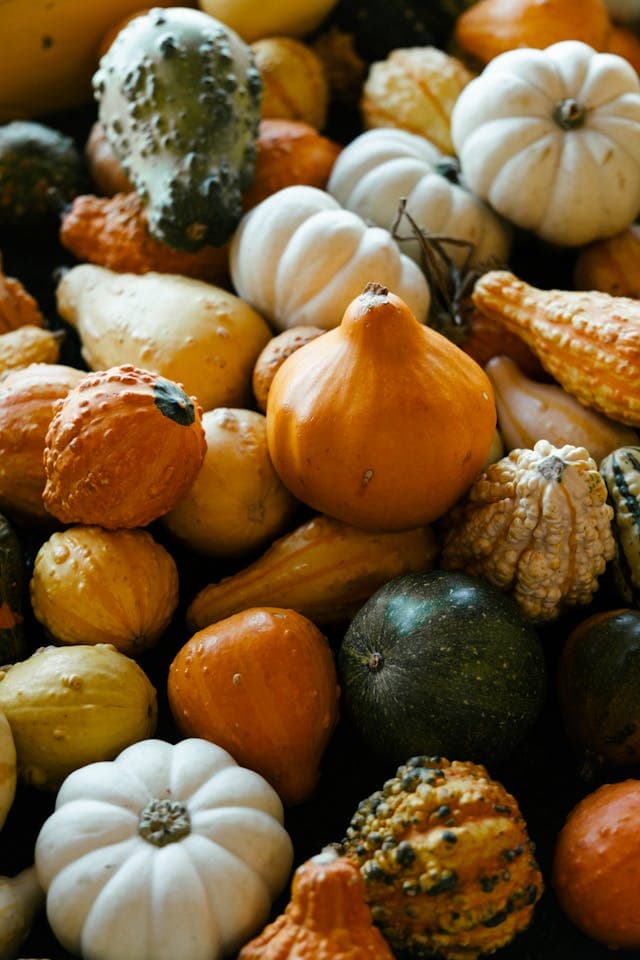Inspiration for The Gourd's Big Secret