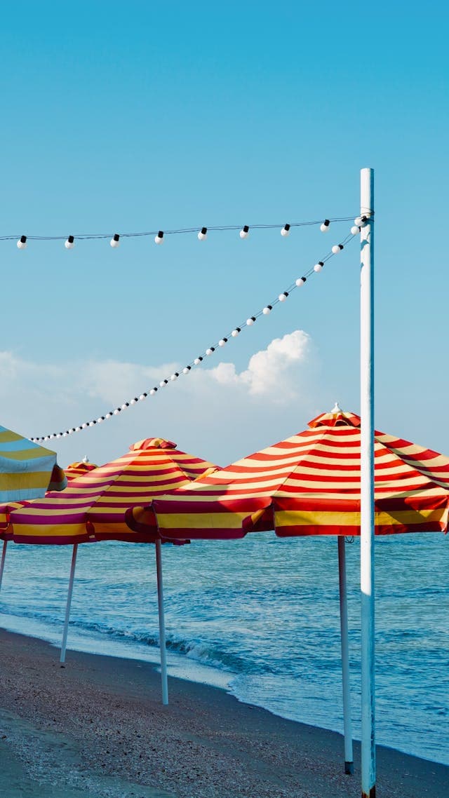 Inspiration for Shell-Bay's Secret Party!