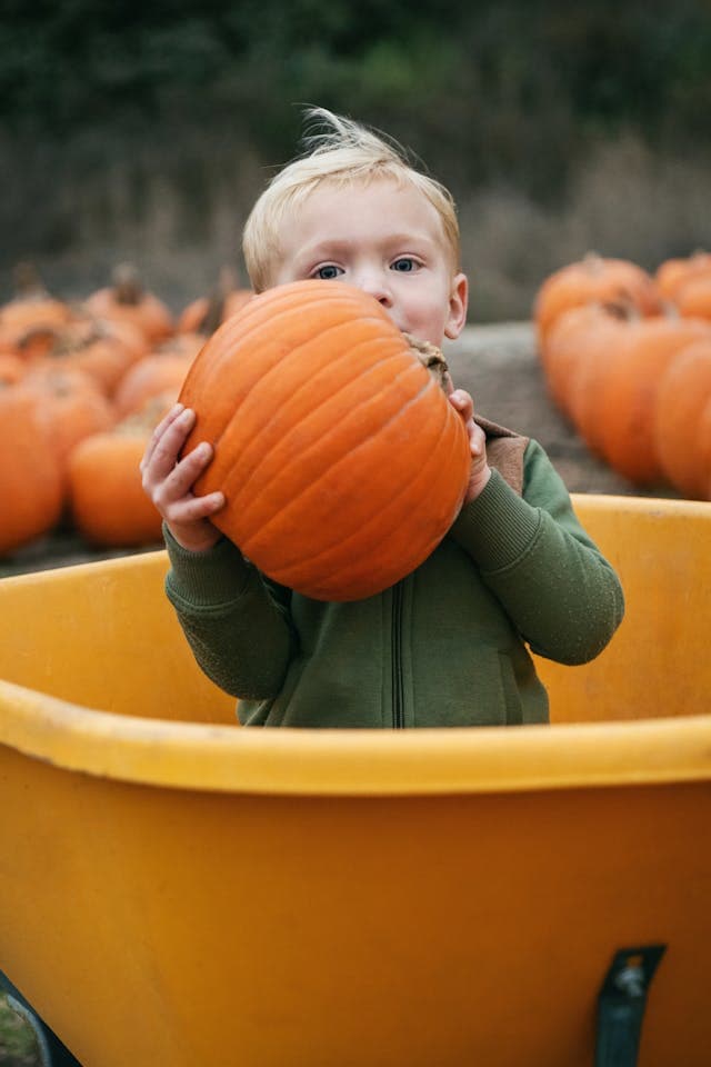 Inspiration for Pumpkin Patch Wonders