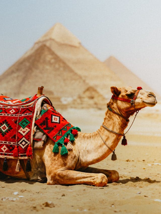 Inspiration for Desert Dream Weaver