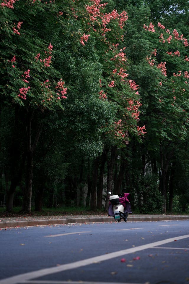 Inspiration for The Pink Petal Mystery