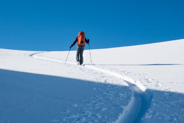 Inspiration for The Snowy Journey