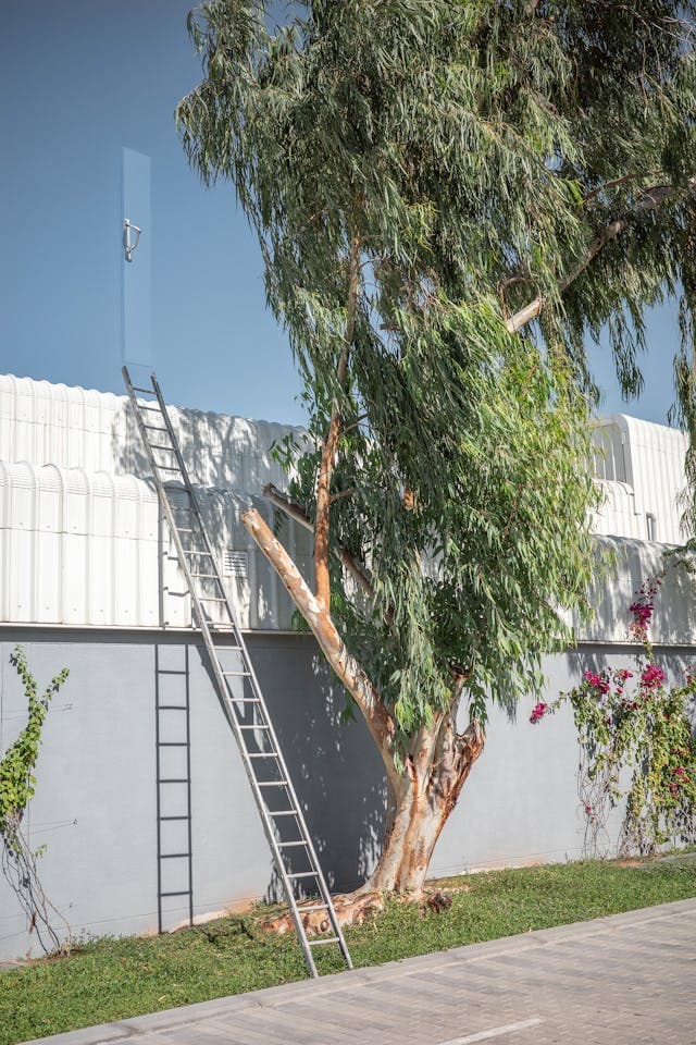 Inspiration for The Sky's Secret Door